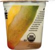 LIBERTE: Ecuadorian Mango Organic Yogurt (5.50 oz)