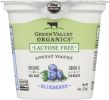 GREEN VALLEY ORGANICS: Yogurt Low Fat Lactose Free Blueberry (6 oz)