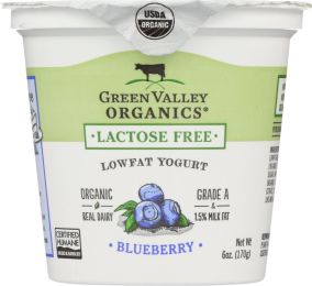 GREEN VALLEY ORGANICS: Yogurt Low Fat Lactose Free Blueberry (6 oz)