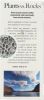 NATURES ANSWER: Plant Based Magnesium Liquid 500 mg (16 fo)