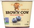 BROWN COW: Yogurt Blueberry On The Bottom Cream Top (5.3 oz)