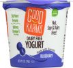 GOOD KARMA: Dairy Free Blueberry Yogurt (6 oz)