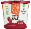 GOOD KARMA: Raspberry Dairy Free Yogurt (6 oz)