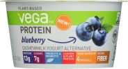 VEGA: Yogurt Blueberry (5.3 oz)