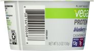 VEGA: Yogurt Blueberry (5.3 oz)