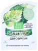 PROJECT 7: Spearmint Farms Clean Chewing Gum (0.53 oz)