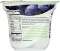 DAIYA: Blueberry Greek Yogurt Alternative (5.3 oz)