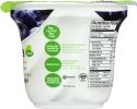 DAIYA: Blueberry Greek Yogurt Alternative (5.3 oz)