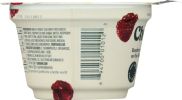 CHOBANI: Non-Fat Greek Yogurt Raspberry on the Bottom (5.3 oz)