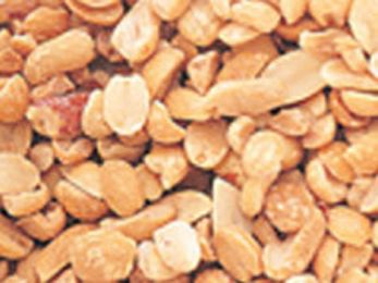 BULK NUTS: Organic Peanut Butter Stock (30 lb)