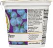 REDWOOD HILL FARM: Blueberry Goat Milk Yogurt (6 oz)