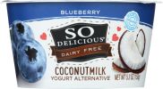 SO DELICIOUS: Blueberry Coconut Milk Yogurt Alternative (5.3 oz)