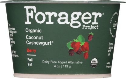 FORAGER: Organic Coconut Cashewgurt Berry (4 oz)