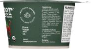 FORAGER: Organic Coconut Cashewgurt Berry (4 oz)