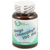 WORLD ORGANIC: Mega Chlorophyll 100mg (60 Capsules)