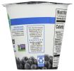 FOLLOW YOUR HEART: Blueberry Dairy-Free Yogurt (5.3 oz)